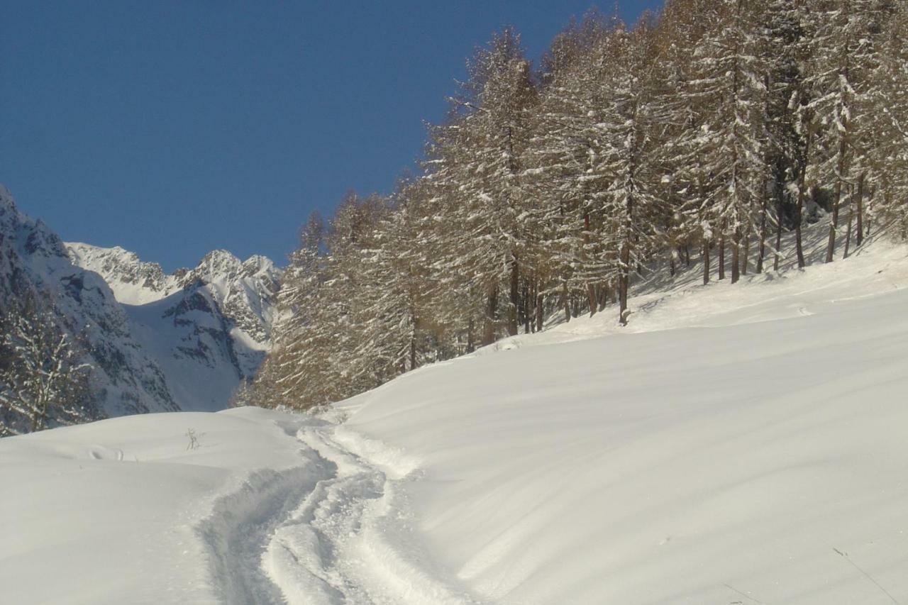 Residence Cavallino Ponte Di Legno Dış mekan fotoğraf